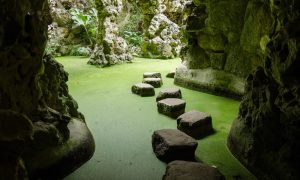 Discovering Regaleira Palace & Gardens!
