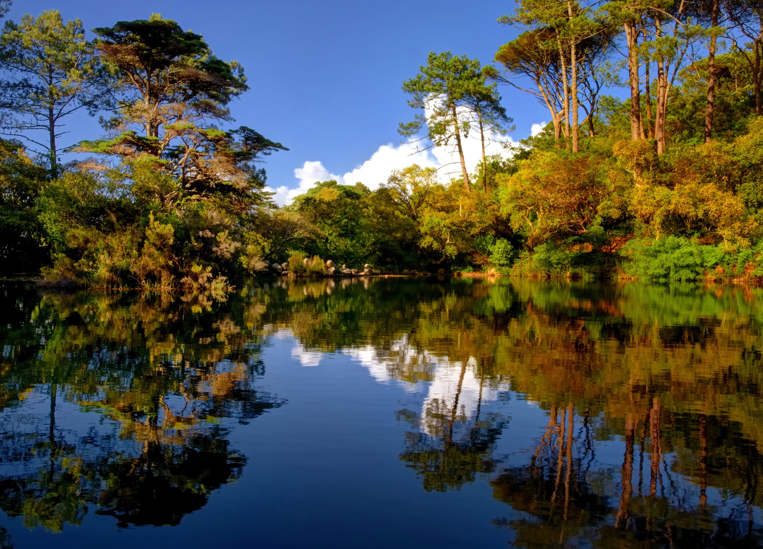 Discovering Lagoa Azul: Sintra's Serene Woodland Oasis