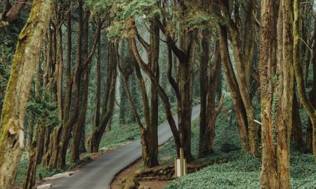 Peninha Sanctuary in Sintra